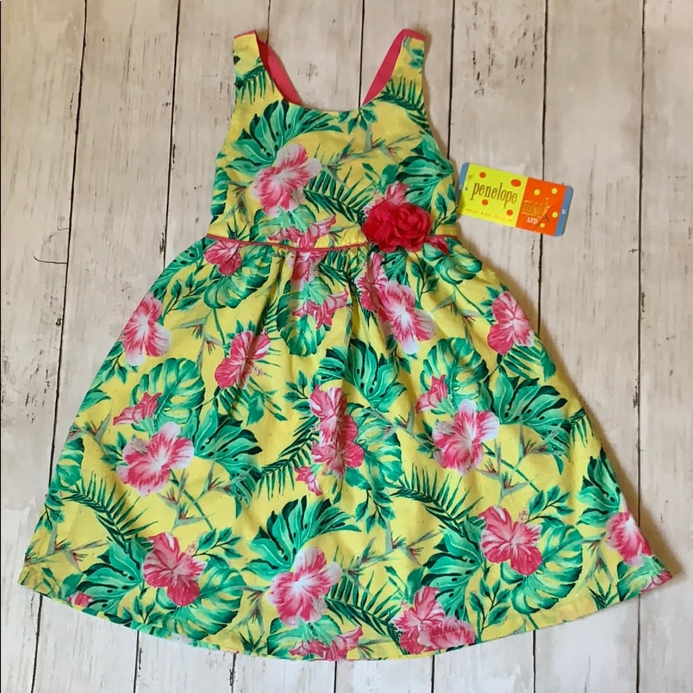 Penelope Mack Girls Dress (4T)